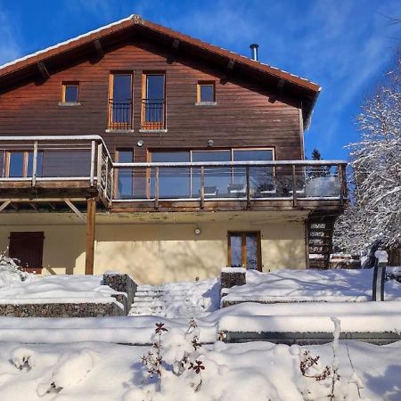 Le Cerf, Chalet Cocooning Avec Piscine Et Billard Ban-sur-Meurthe-Clefcy Exterior photo