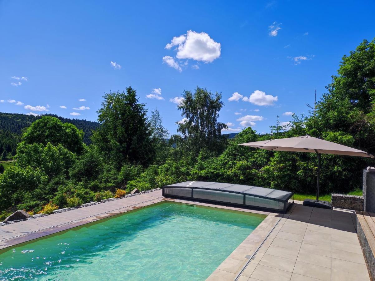 Le Cerf, Chalet Cocooning Avec Piscine Et Billard Ban-sur-Meurthe-Clefcy Exterior photo