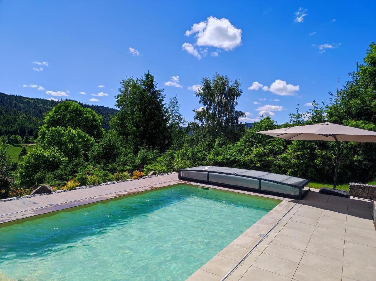 Le Cerf, Chalet Cocooning Avec Piscine Et Billard Ban-sur-Meurthe-Clefcy Exterior photo