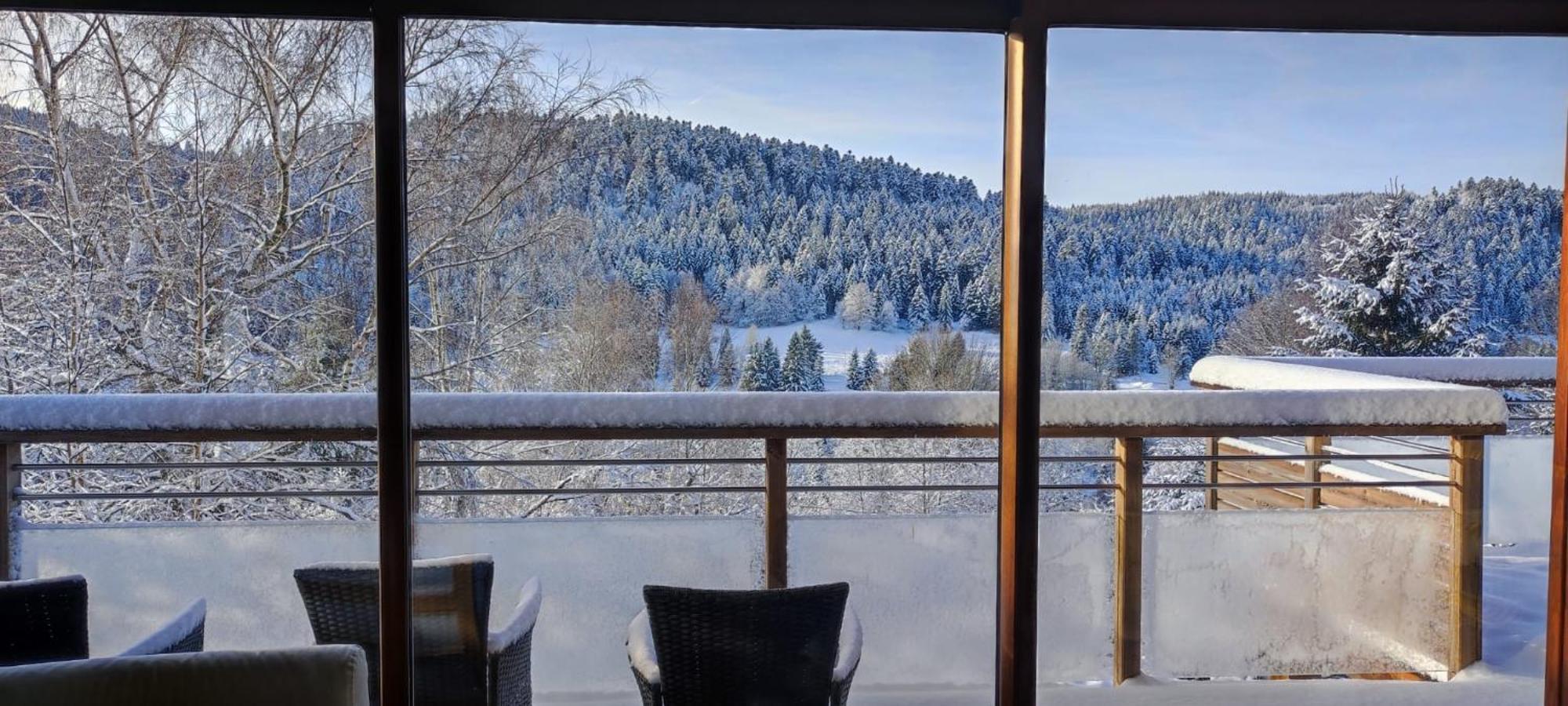 Le Cerf, Chalet Cocooning Avec Piscine Et Billard Ban-sur-Meurthe-Clefcy Exterior photo